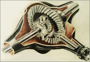 Differential Purpose